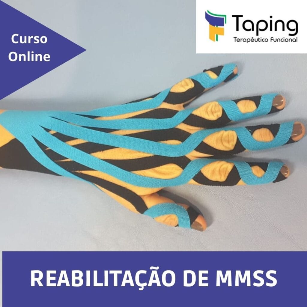 Curso Online MMSS